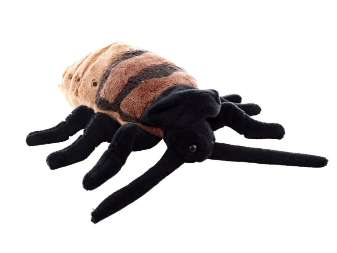 Plush cockroach 20 cm - plush toys