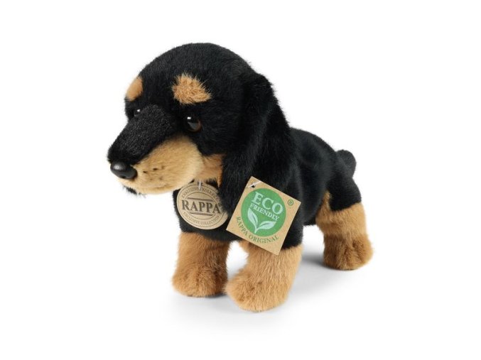 0024333 pes R250772.jpg