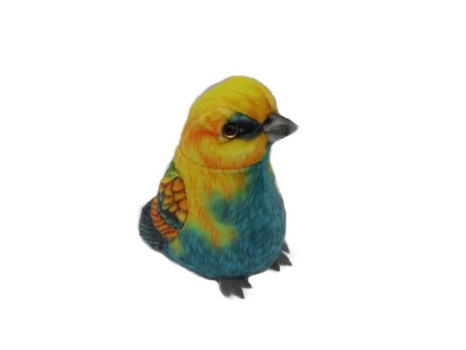 0014693 ptacek modry B601859.jpg