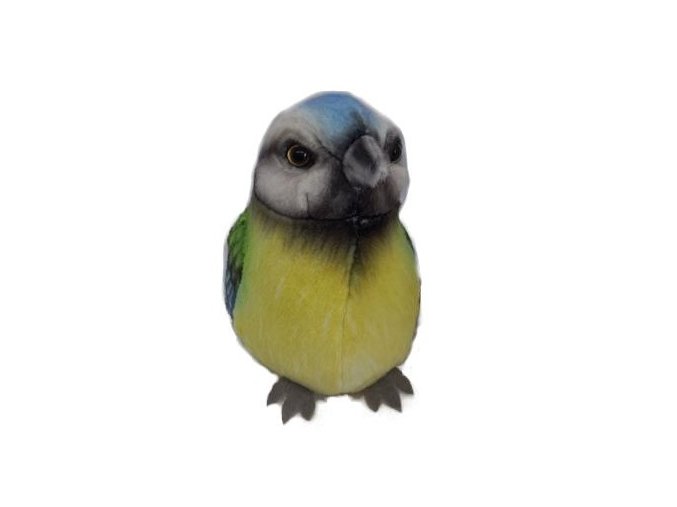 0001024 ptacek sykorka B601828.jpg