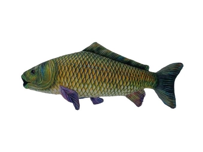 0020242 Kapr plyš C1043128.jpg