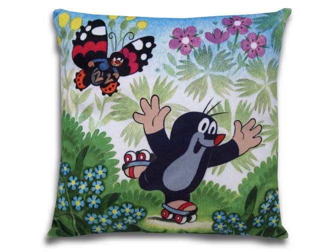 Cushion Mole 30x30cm, skater
