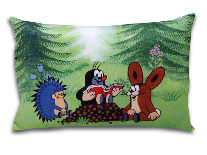 Mole pillow 45x30cm, readers