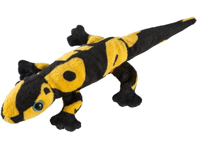 0023634 jesterka PJ888123.jpg