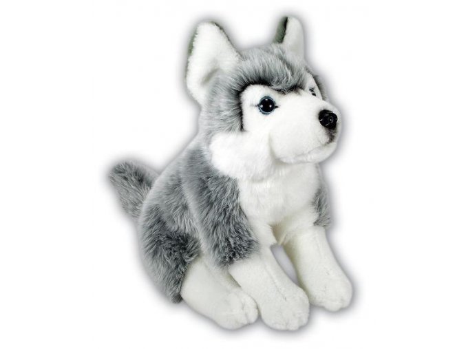 Plush Husky 32 cm - plush toys