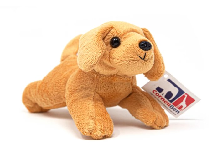 Plush dog 16 cm - plush toys