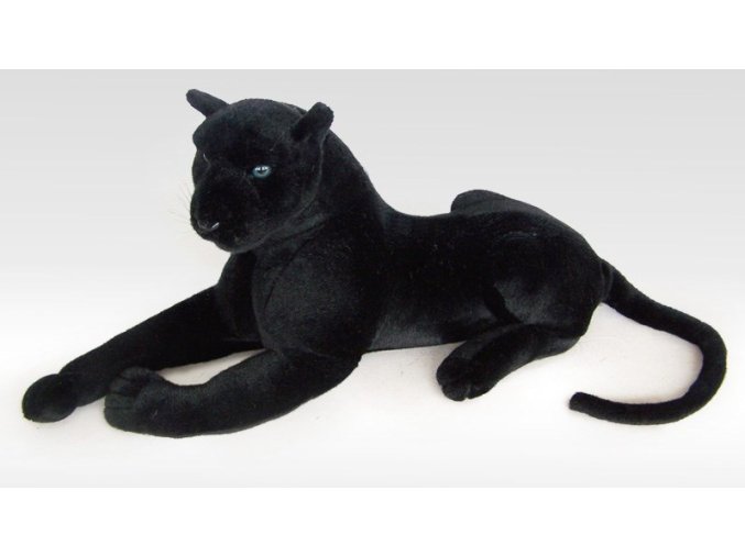 c1cecbef b58f 4637 a2c2 6acb6e0dbcfb lrg