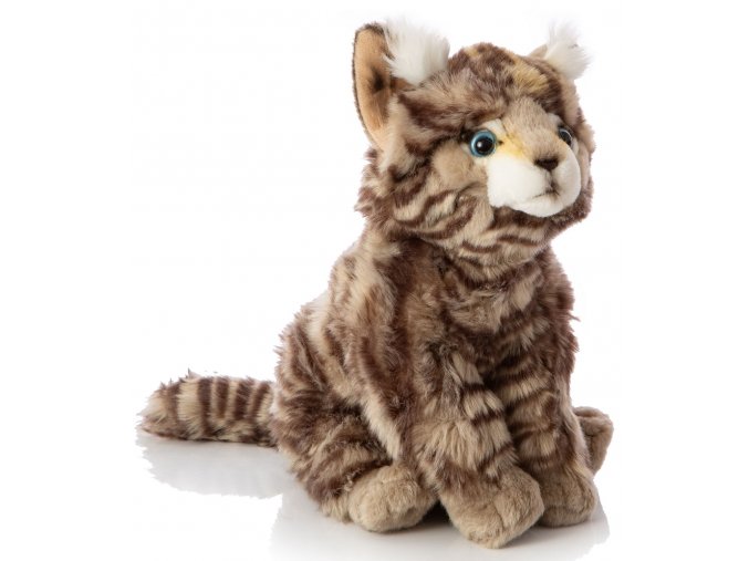 Plush wild cat 27 cm - plush toys