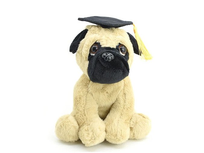 Plush pug 16 cm - plush toys