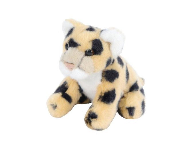D9B9FD52 76D0 45DE B2F3 485DC2AAB6D3 leopard plys be13720