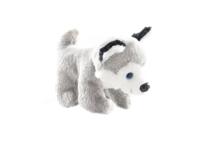 Plush husky dog ??13 cm - plush toys