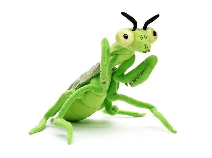 Plush praying mantis 35 cm - plush toys