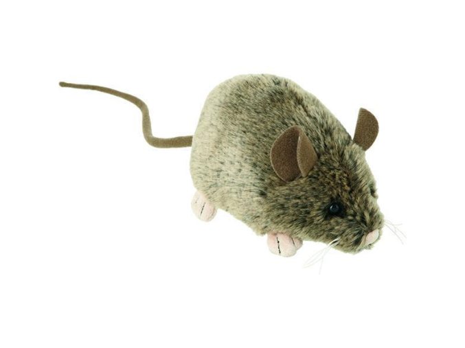 E9ADC9DB 224B 4EC6 B809 1609D7FB2782 mys np04895