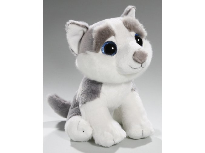 Plush husky dog ??20 cm - plush toys