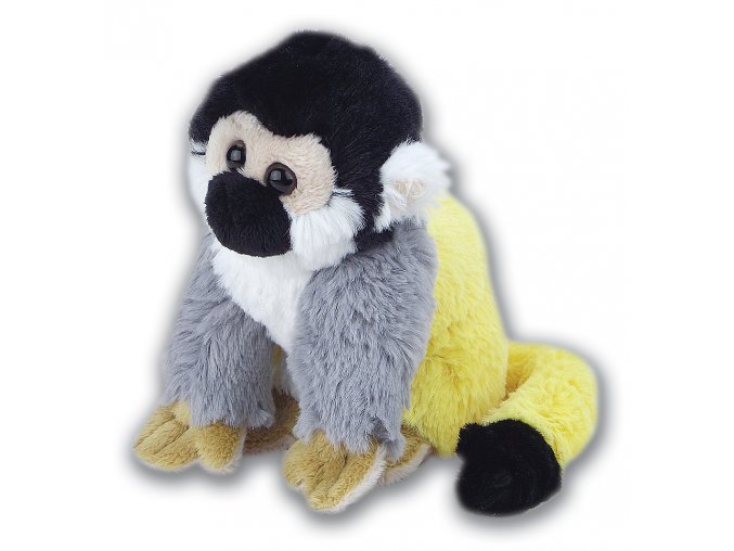 K111 SquirrelMonkey