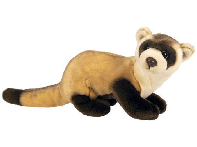 Plush ferret 35 cm - plush toys