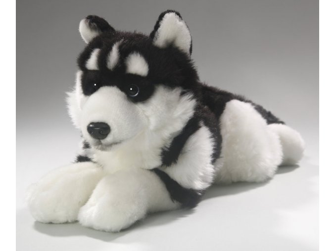 Plush husky 40 cm - plush toys