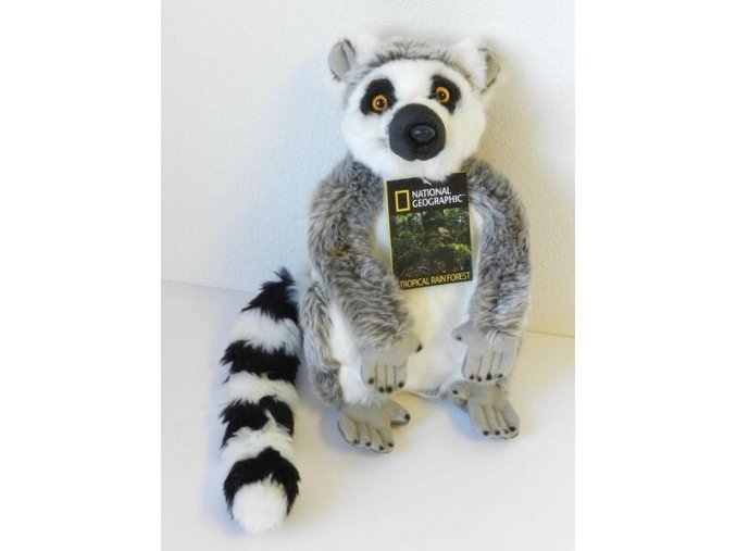 123840B3 5850 4BC1 B68F F28FEE883FB1 lemur plys w011604