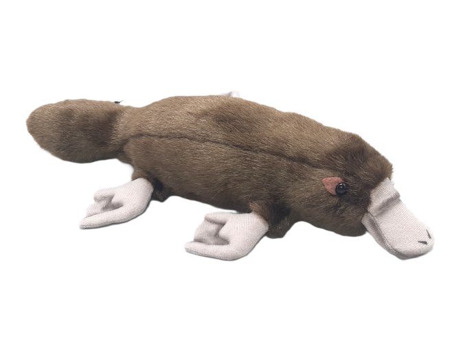 Plush platypus 37 cm - plush toys