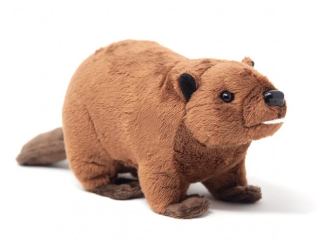Plush beaver 23cm - plush toys