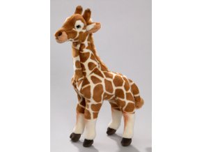 Plush giraffe 40 cm - plush toys