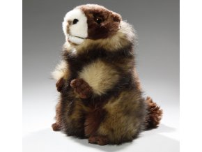 Plush marmot 23 cm - plush toys