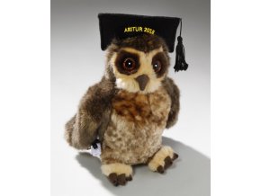 Plush wise owl graduate 23 cm - plush toys