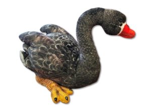 0024010 cerna labut B602382.jpg