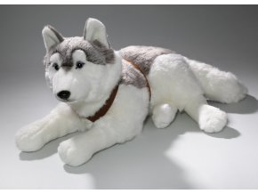 Plyšový husky velký 65 cm - plyšové hračky