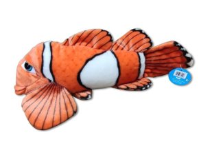 0024590 ryba DU33508.jpg