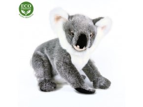 Plush koala 25 cm - plush toys