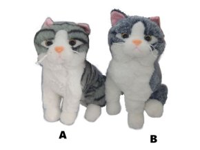 0012958 Kocka W036820.jpg