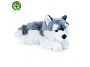 Plush husky dog ??30 cm - plush toys
