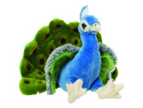 0004931 Pav plyš NP03450.jpg