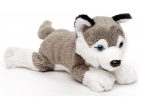 Plush husky 19 cm - plush toys