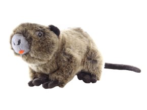 Plush nutria 22 cm - plush toys