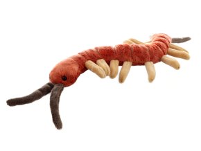 Plush centipede 36 cm - plush toys