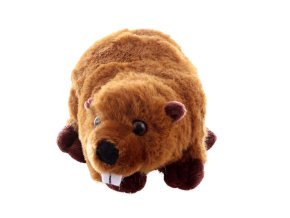 Plush beaver 21 cm - plush toys