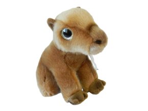 Plush capybara 20 cm - plush toys