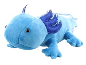 Plush axolotl blue 32 cm - plush toys