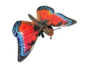 0024052 motyl B602733.jpg
