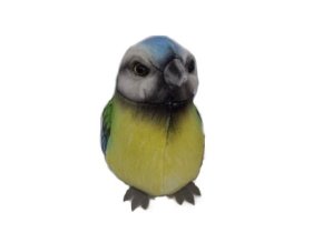 0001024 ptacek sykorka B601828.jpg