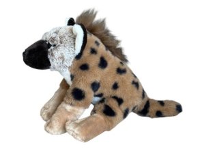 0025265 hyena DU32768.jpg