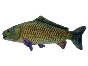 0020242 Kapr plyš C1043128.jpg