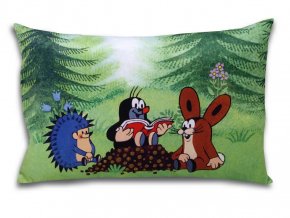 Mole pillow 45x30cm, readers