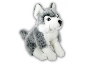 Plush Husky 32 cm - plush toys