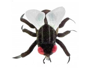 Plyšová moucha 15cm - plyšové hračky