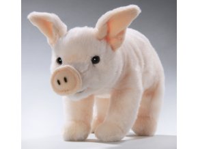 Plush pig 22 cm - plush toys