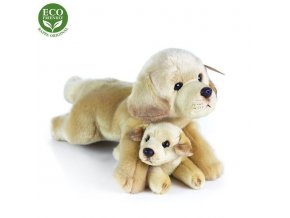 3B478065 28C3 48F3 8CC3 9974D25BA42E pes labrador plys r203464