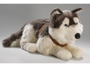 Plyšový pes husky 60 cm - plyšové hračky